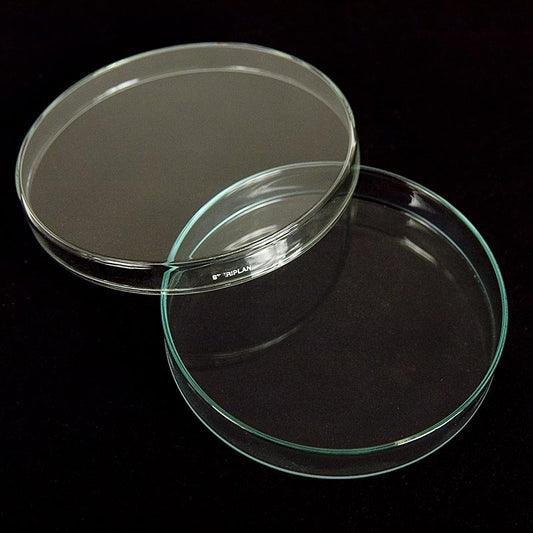 Petrischalen aus Glas, ø 15cm mit Deckel, 1 St