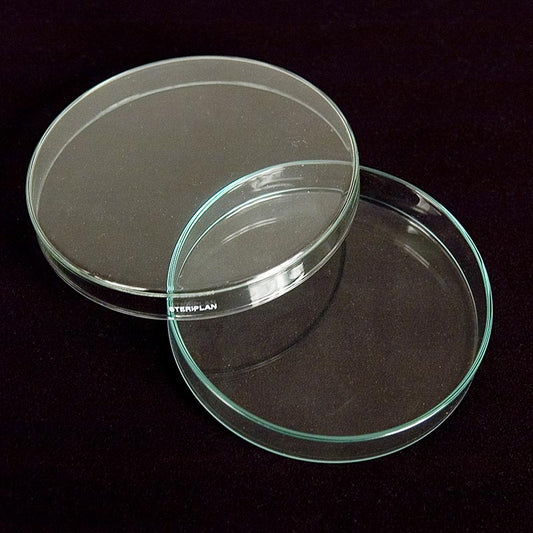 Petrischalen aus Glas, ø 12cm mit Deckel, 1 St