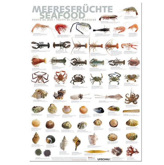 Port Culinaire - Küchenposter Meeresfrüchte (59,4 x 84cm), 1 St
