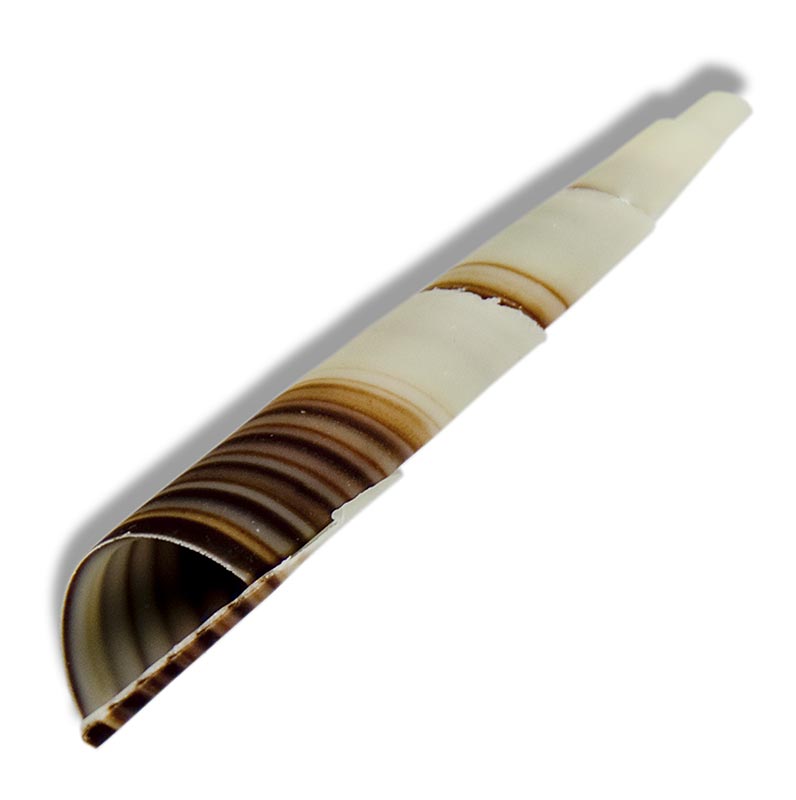 Topper decorativo "Cornet" - mini cornetta, marmorizzata, circa 80 mm, 350 g, 117 pezzi.
