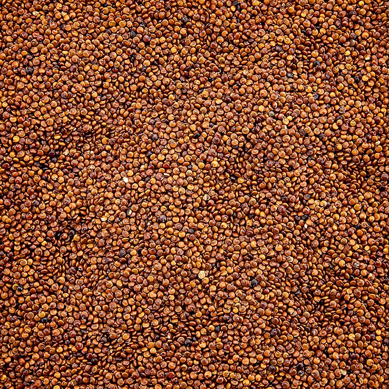 Bio rote Quinoa in ganzer Form, das nahrhafte Wunderkorn der Inkas, 25 kg