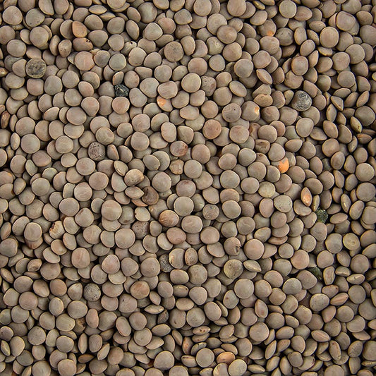 Linsen, braun, klein, 5 kg