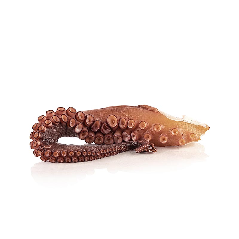Bras de poulpe (pulpo), précuit, 225 g
