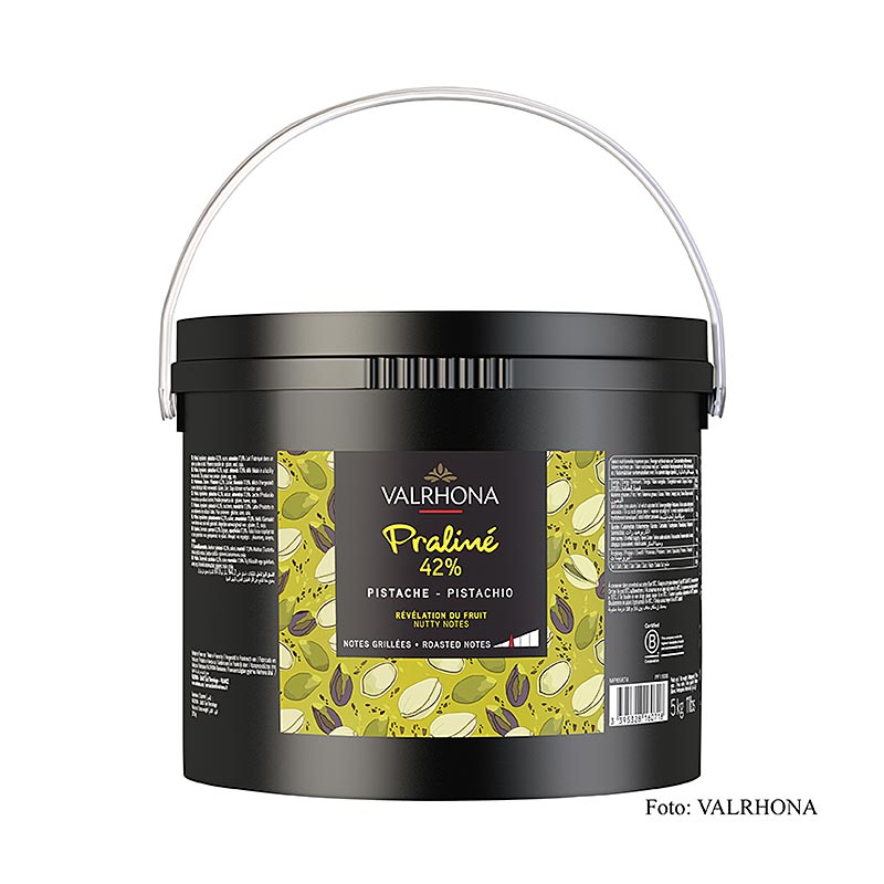 Pasta pralinata al pistacchio Valrhona, 42%, dal gusto fruttato (11936), 5 kg