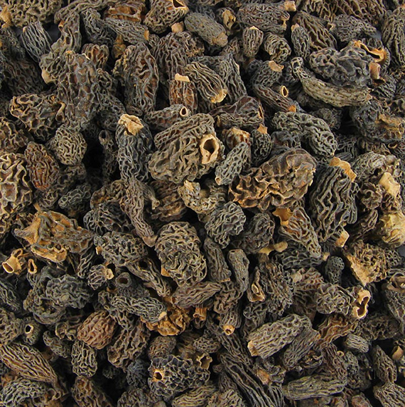 Cappelli di spugnole, Tinies, essiccati, Plantin, 1 kg
