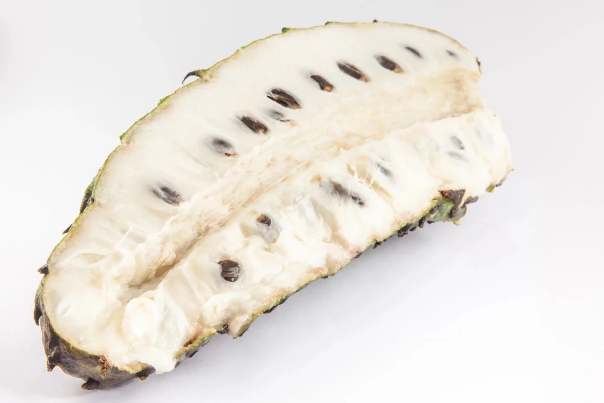Purée de fruit de graviola (guanábana, corossol), surgelée, 12 kg | Fruits, purées de fruits, produits à base de fruits | thungourmet